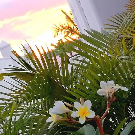 Villa8 Villa Puerto de Santiago (Tenerife)